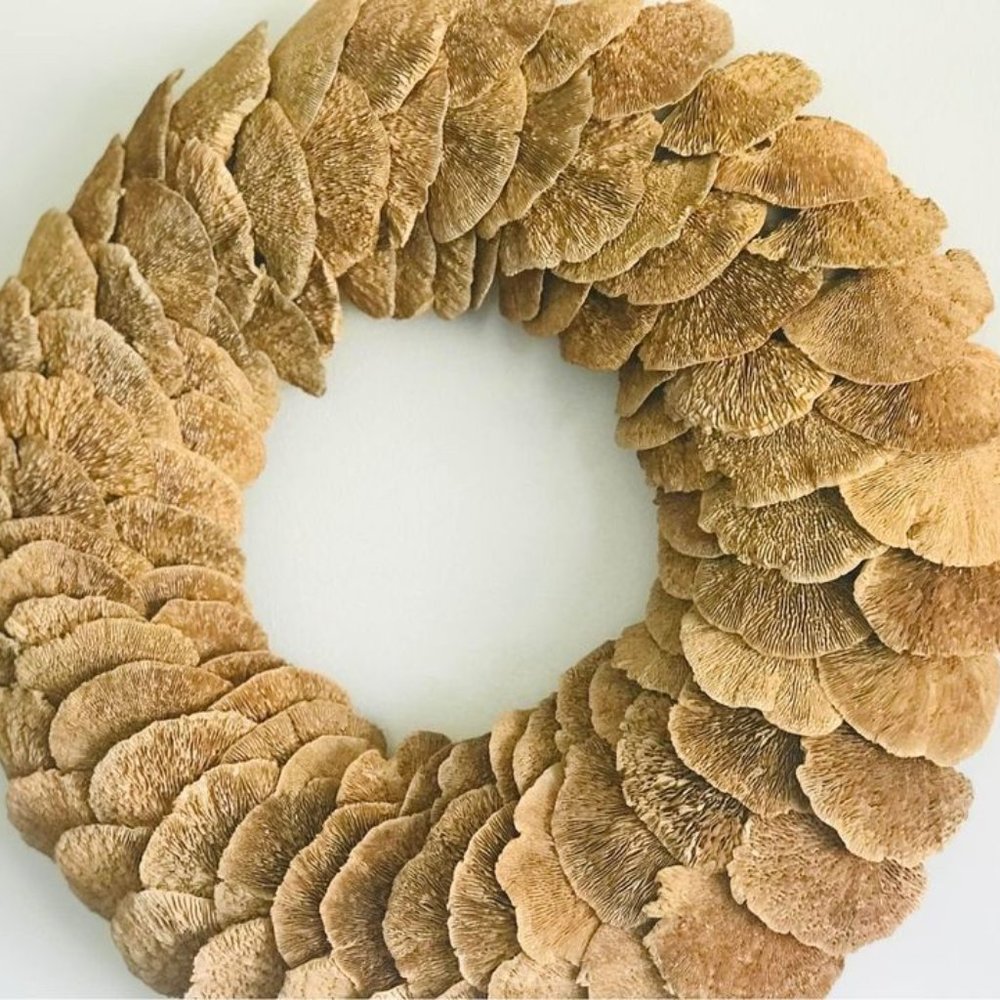 Sponge Mushroom Wreath 20”